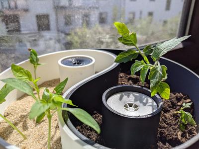 Yin Yang Planter  (self-watering)