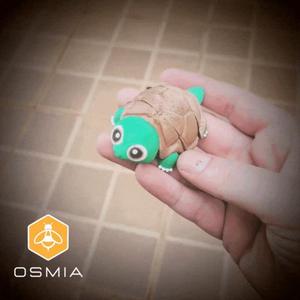 Osmia Flexible Tortoise !!!