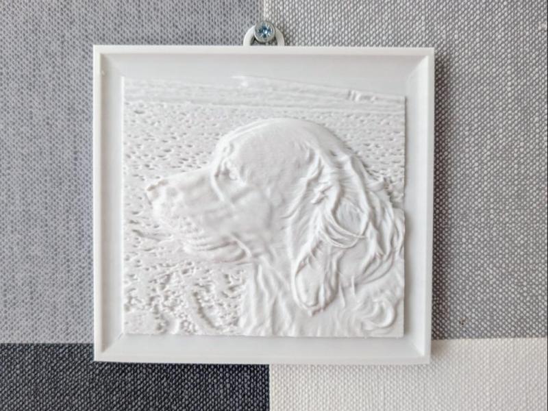 Golden Retriever Relief