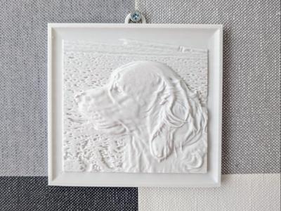 Golden Retriever Relief
