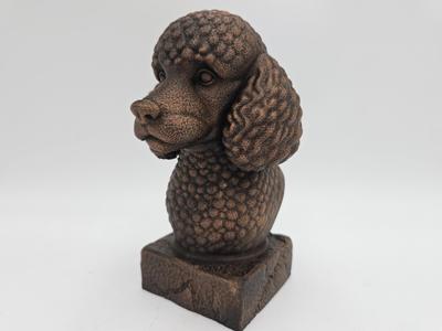 POODLE BUST