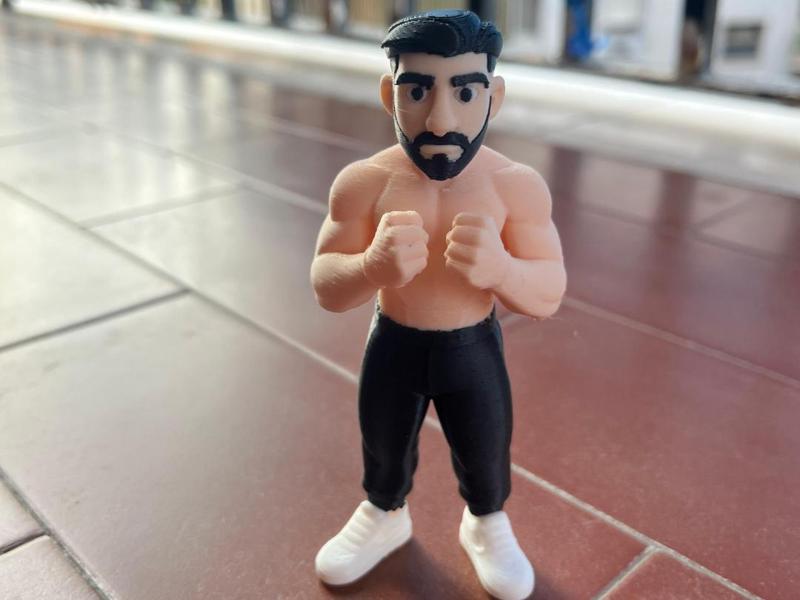 MMA FIGHTER UFC - ILIA TOPURIA