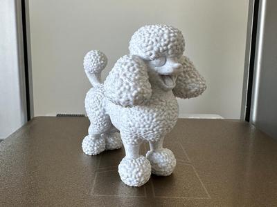 Poodle
