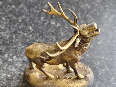 Bolving exmoor stag