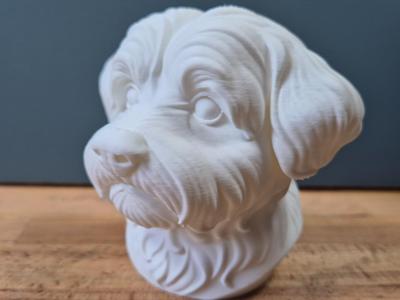 Maltese Bust