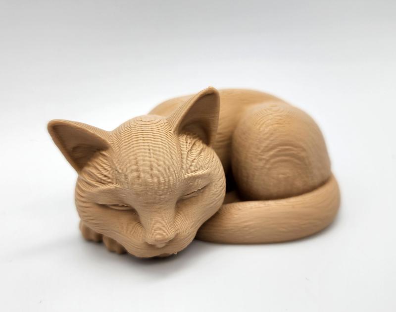 Sleeping Cat
