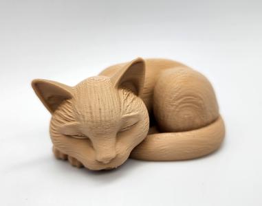 Sleeping Cat
