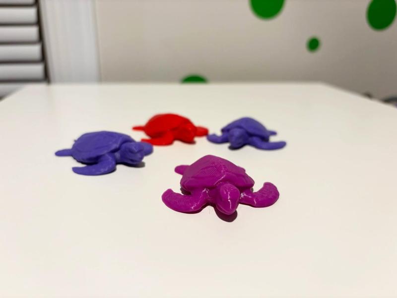 Mini Turtle Free to Sell