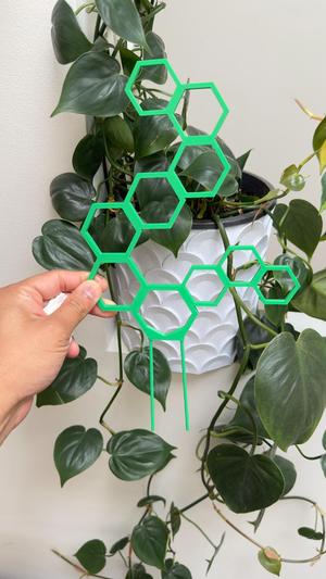 Hex Trellis plant support with printed dowel