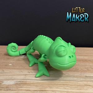 Flexi chameleon Paulino