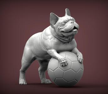 French Bulldog