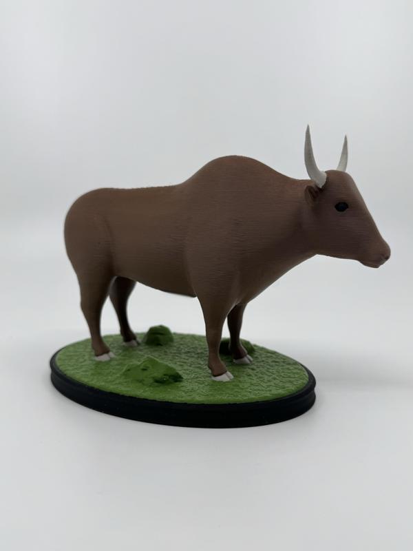 Bull
