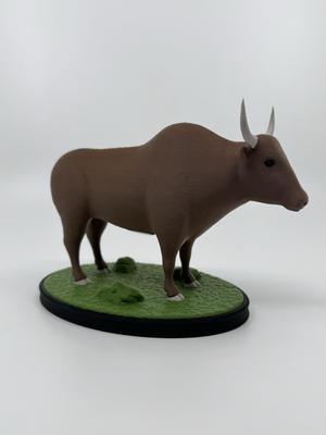 Bull
