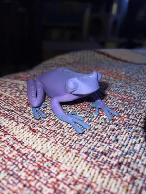 Funky Frog Figure 