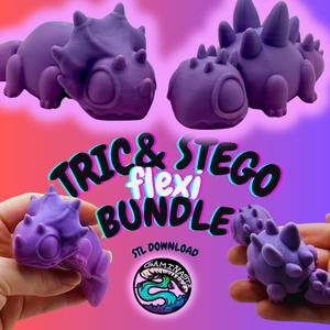 Dino Duo|Triceratops&Stegosaurus