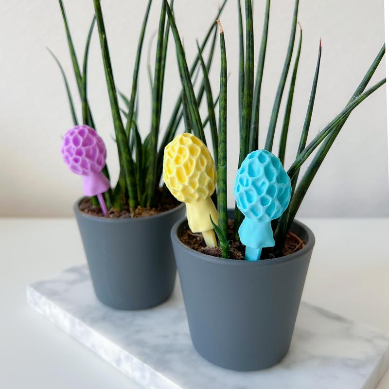 Mushroom garden decoration “Morchella Esculenta”