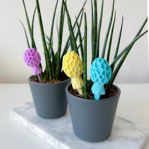 Mushroom garden decoration “Morchella Esculenta”