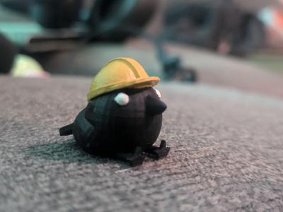 Bird wearing hard hat