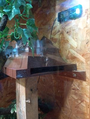 Snake/Reptile Hide