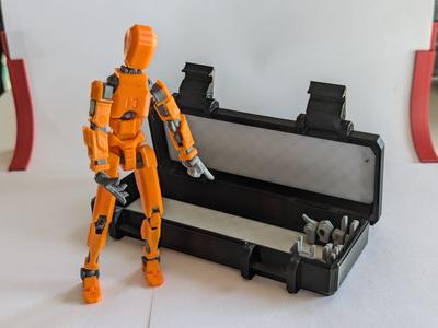 Dummy 13 case