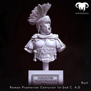 Bust – Roman Praetorian Centurion  1st-2nd C. A.D. in Command!