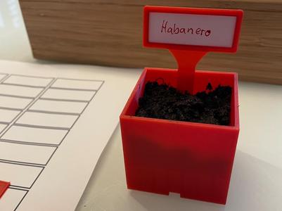 Seedling Plant Marker