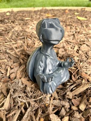 Turtle Buddha Animals – No Supports