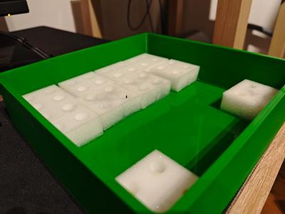 Seedling Tray