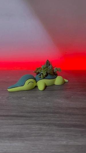 FLOWERPOT CYNDAQUIL POKEMON / MACETA DE CYNDAQUIL POKEMON