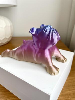 English Bulldog Dog Yoga Pose 3
