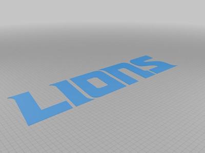 Detroit Lions logo and name