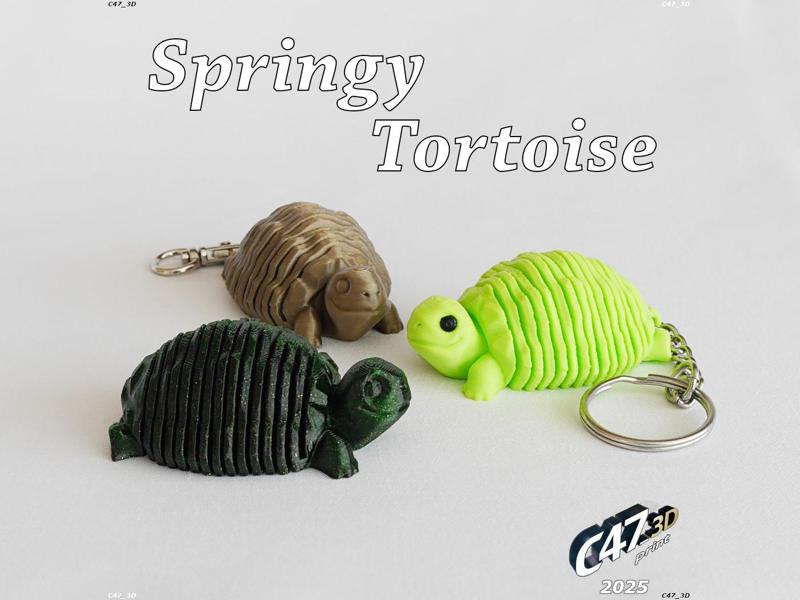 Springy Tortoise