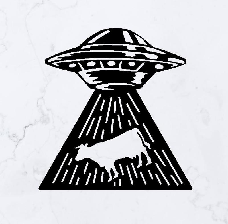 UFO Abduction