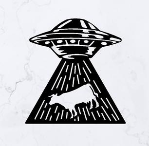 UFO Abduction