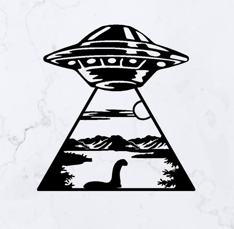 UFO Abduction