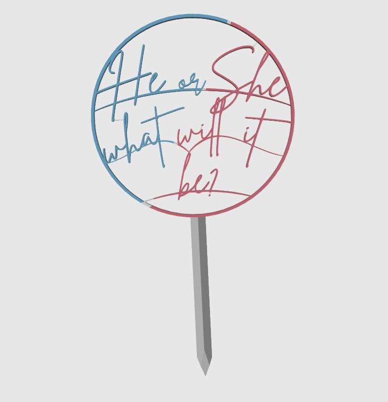 Gender Reveal Cake Topper - He or She What Will it Be?
