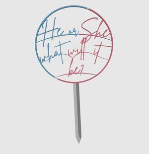 Gender Reveal Cake Topper - He or She What Will it Be?