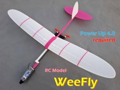 Mini RC Aircraft "WeeFly"