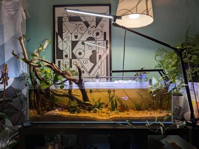 Side mount bracket for light bar on a rimless aquarium (Finnex Planted Plus True 24/7 + HLC Aquarium LED)