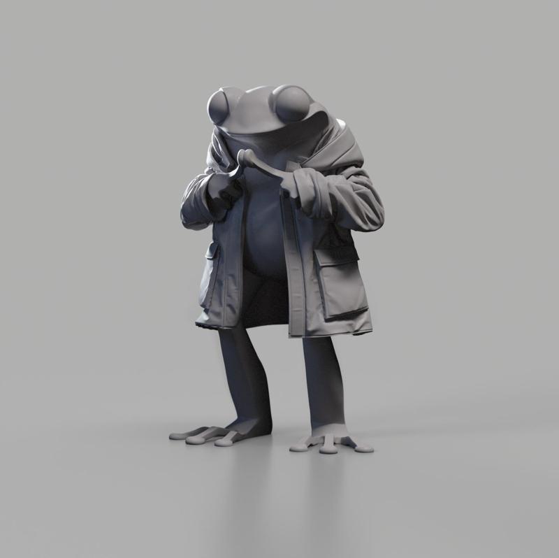 Rain Coat Frog