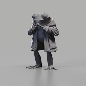Rain Coat Frog
