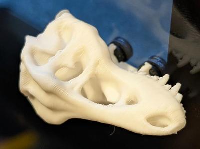 T-Rex Door Handle - P1S