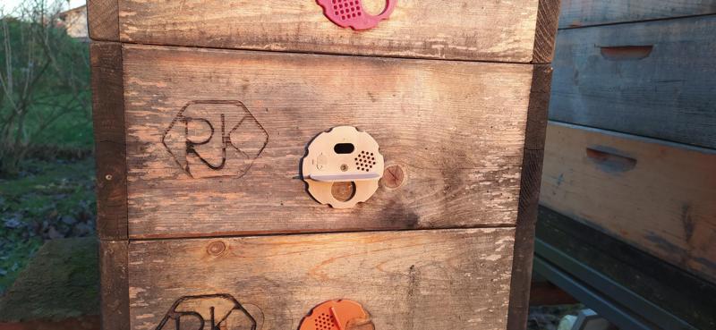 Bee entrance