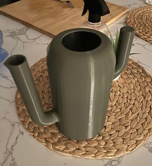 Cactus watering