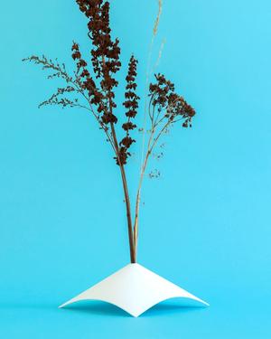 Delicate Cone 30 // Dried Plant Holders (2 sizes)