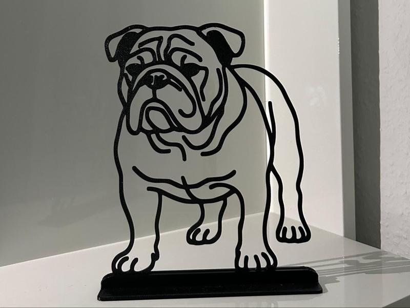 English Bulldog