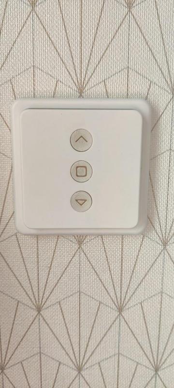 Personalisation bouton Lora Tap zigbee - Lora Tap zigbee Customization Button
