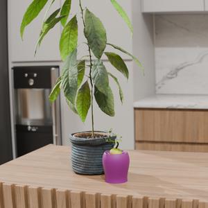 Avocado seed groving vase