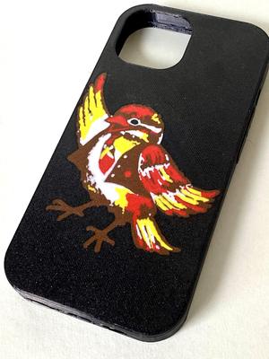 Multicolor Case iPhone 15 (Kastelruther Spatzen Edition)