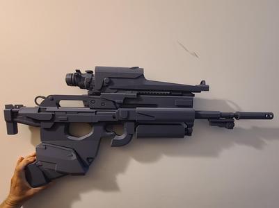 Destiny Crypt Dweller Scout Rifle